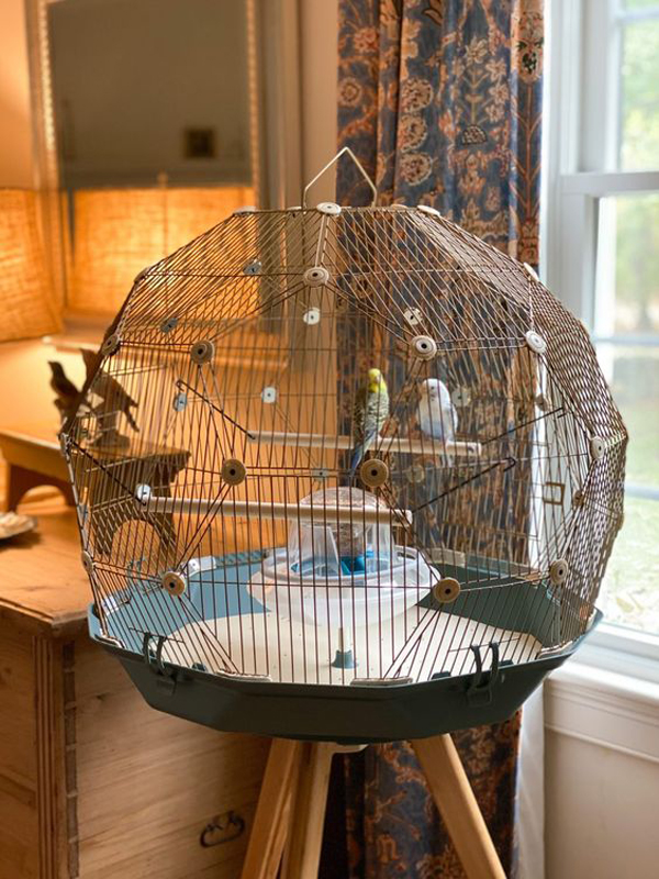 indoor-geo-bird-cage-decor