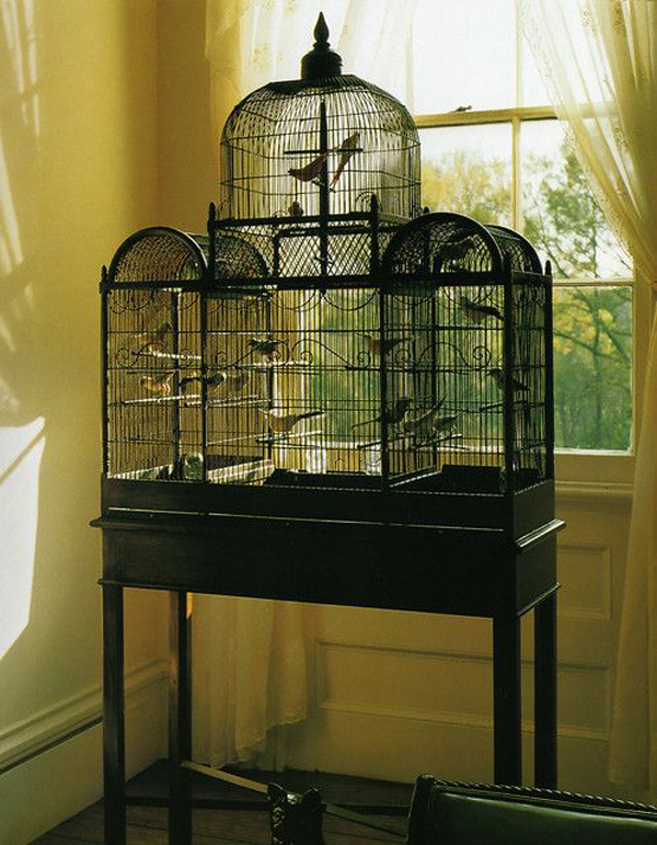 three-birdcage-design