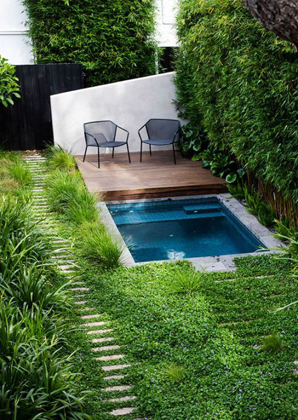 classic-plunge-pool-with-seating-areas