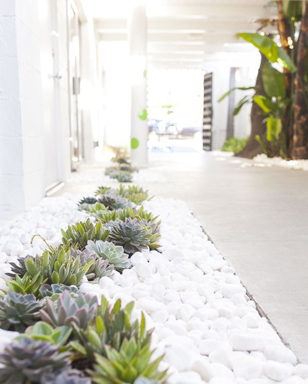 white-stone-garden-with-succulent-planters
