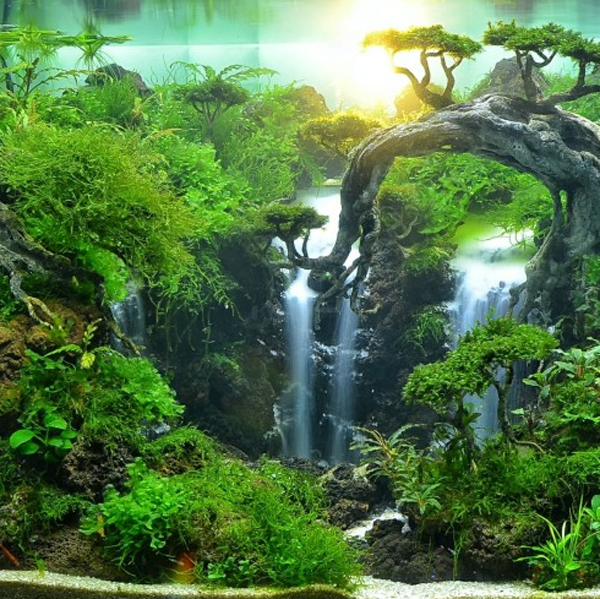 aesthetic-waterfall-aquascaping-ideas
