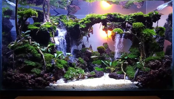 waterfall-style-aquascape-design