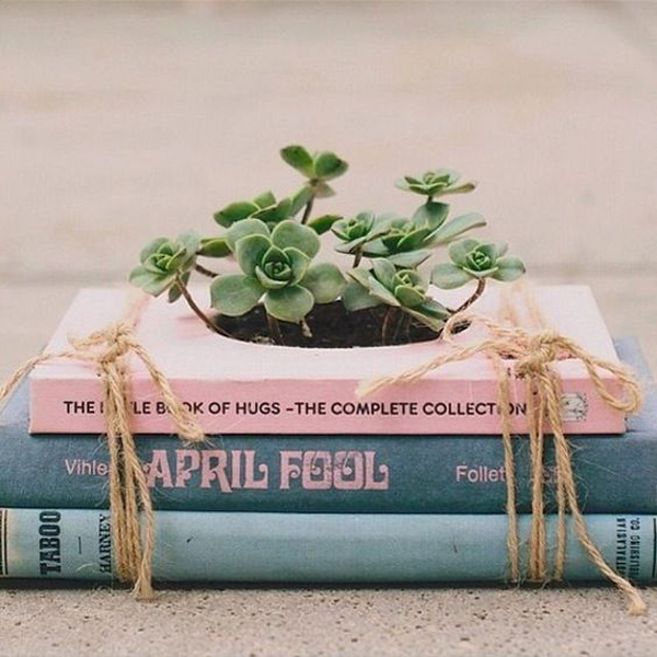 aesthetic-diy-book-succulent-planter