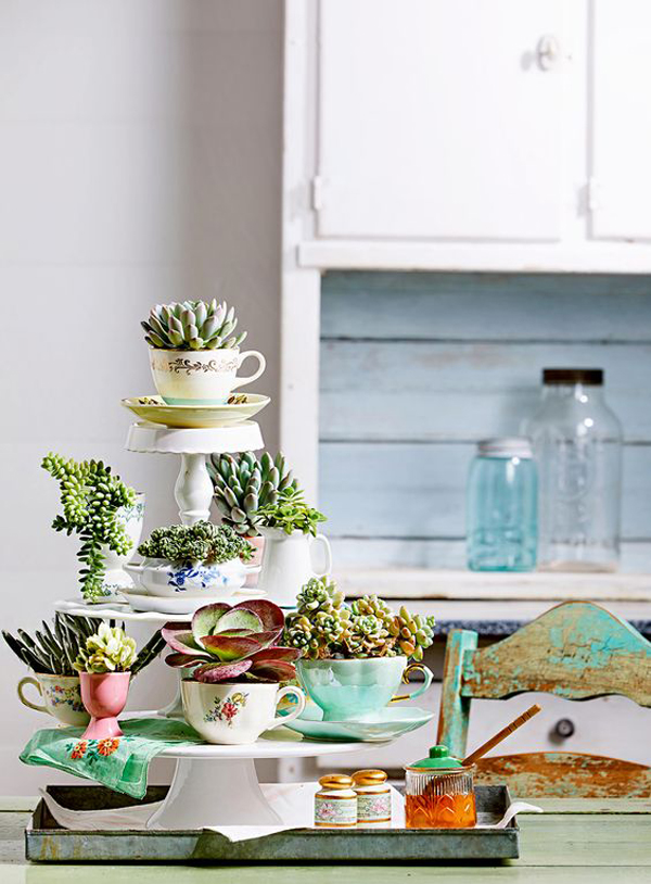 diy-vintage-cup-succulent-decor