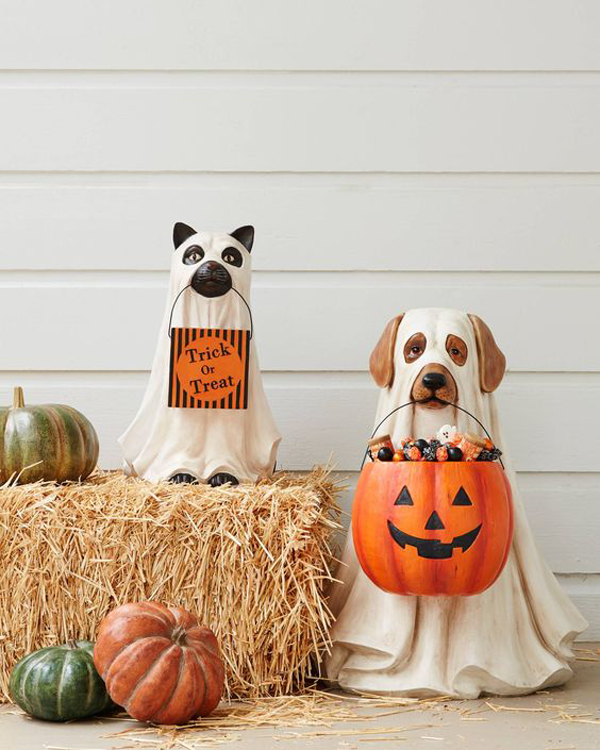 indoor-dog-halloween-decor-with-pumpkin