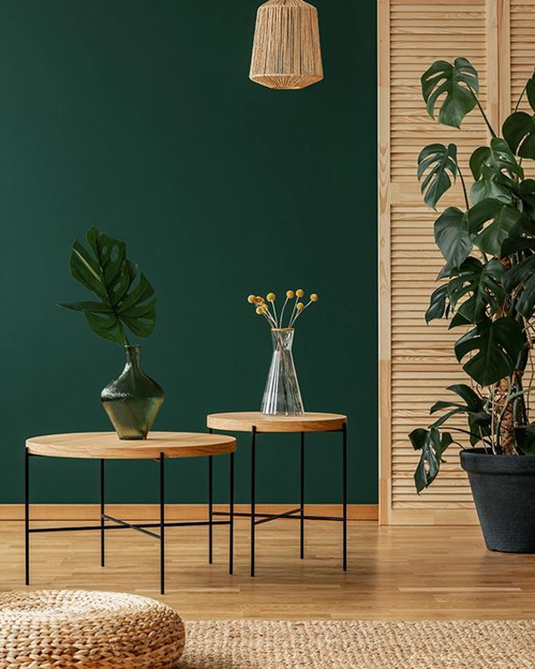 modern-green-interior-paint-colors