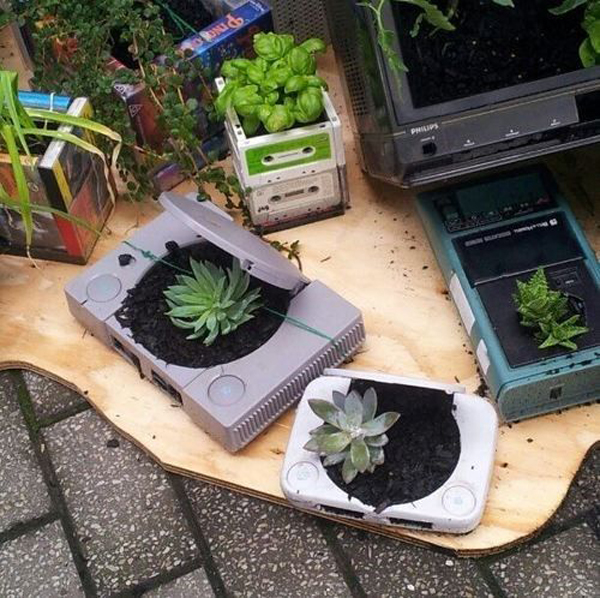 old-console-game-succulent-garden