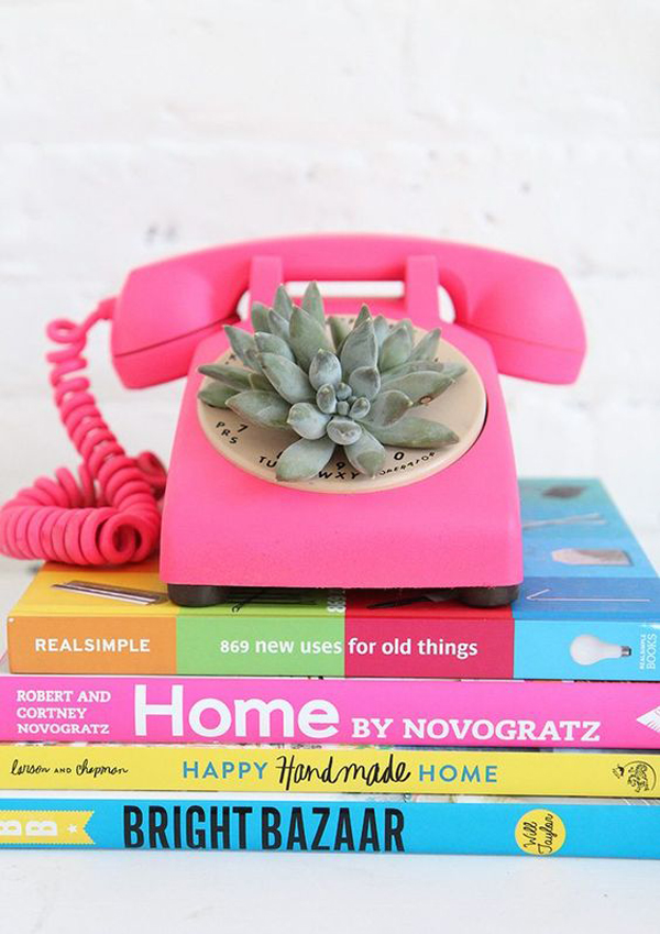 old-pink-telephone-succulent-planter