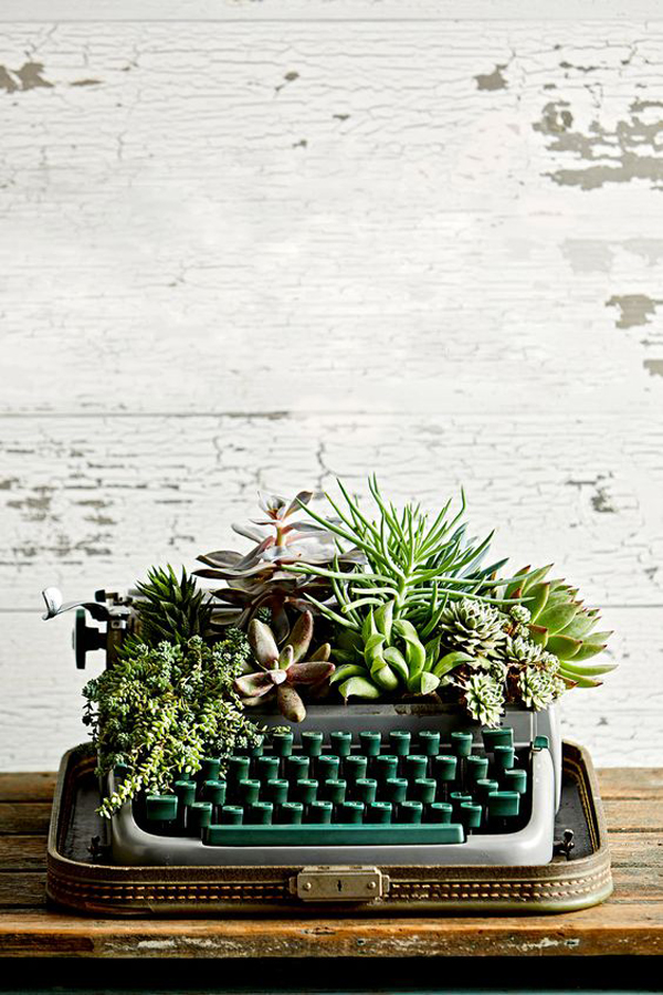 old-typewriter-succulent-garden