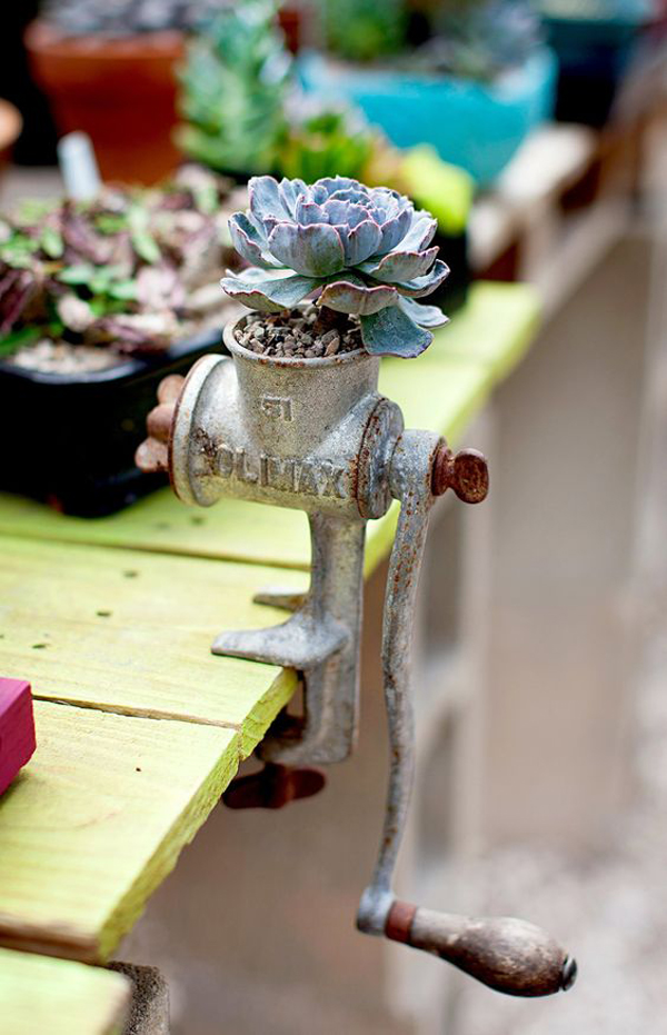 upcycled-meet-grinder-succulent-planter