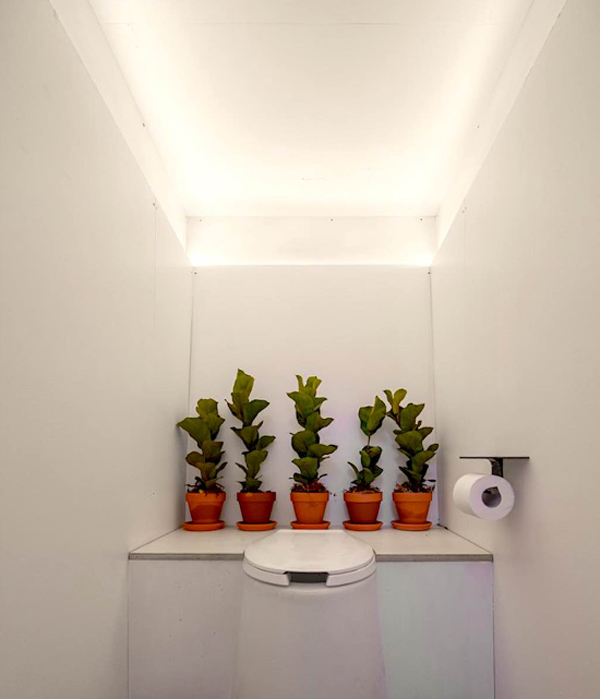 cozy-portal-toilet-interior-with-planter-pots