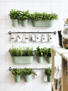 25 Creative DIY Indoor Herb Garden Ideas | Housetodecor.com