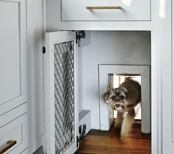 27 Trendy Dog Door Ideas That Your Pet Happy