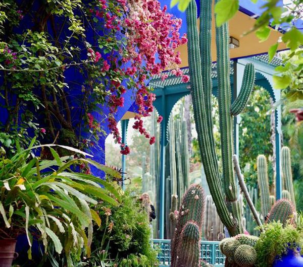21 Unique Moroccan Gardens That Not Be Missed