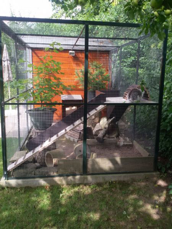rabbit hutch modern outdoor cage
