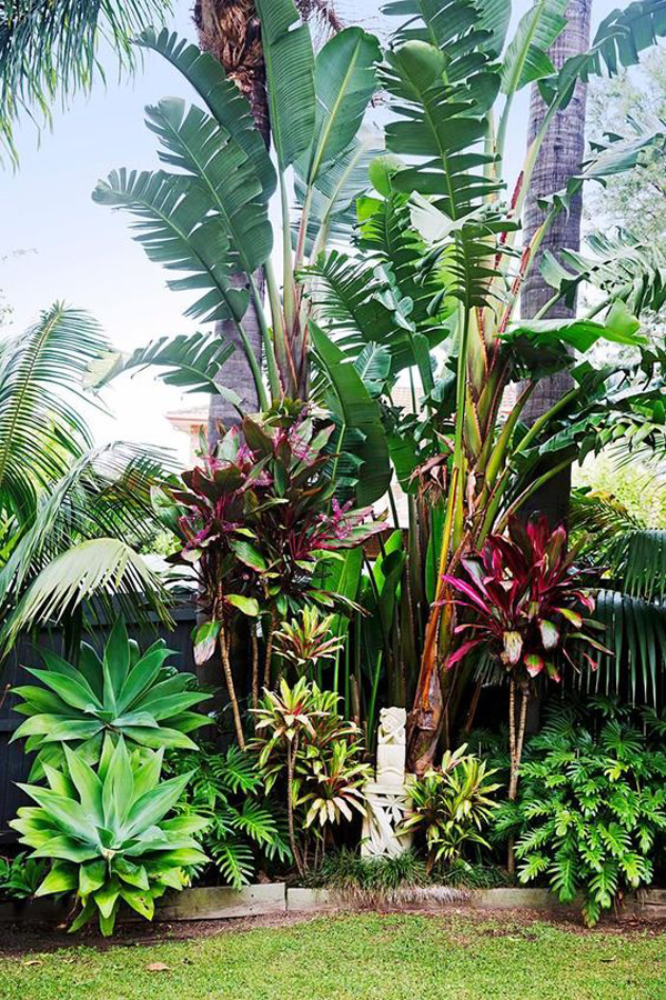 tropical-garden-arrangement