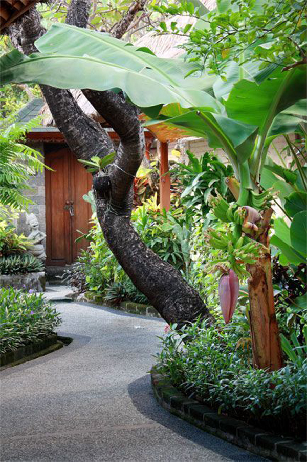 trendy-balinese-style-garden-design