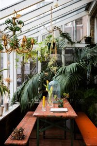30 Inspiring Jaw Dropping Jungle Interiors | Housetodecor.com