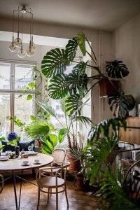 30 Inspiring Jaw Dropping Jungle Interiors | Housetodecor.com