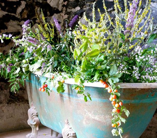 25 Pretty Container Garden Ideas With Old Bathtub