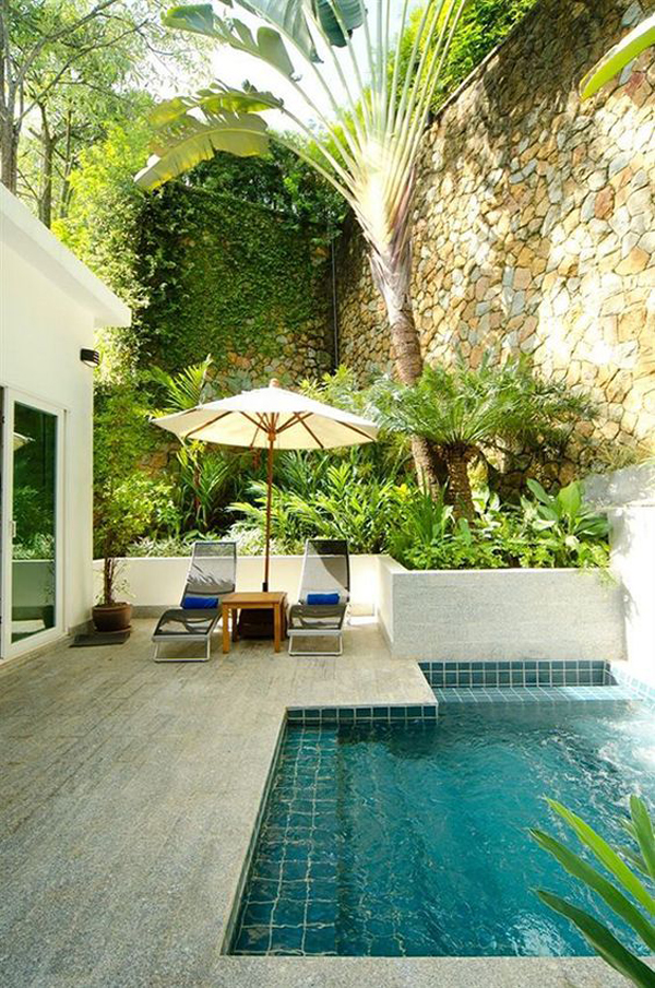 private-backyard-pool-with-nature-surrounding