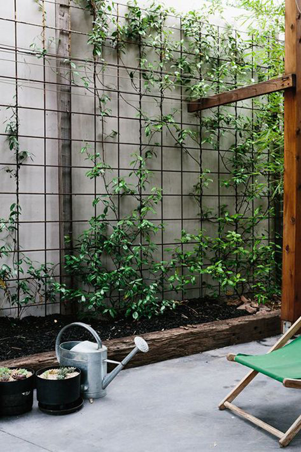 small-backyard-garden-trellis-ideas
