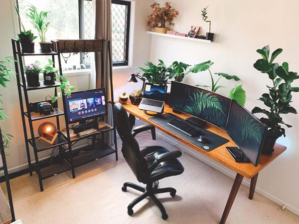cool-gaming-desk-decor-with-plants