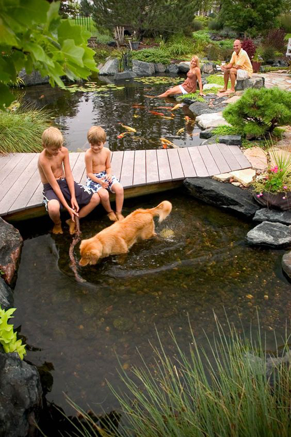 family-and-dog-friendly-garden-pond-design