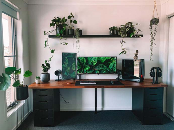 gaming-desk-design-with-indoor-plants