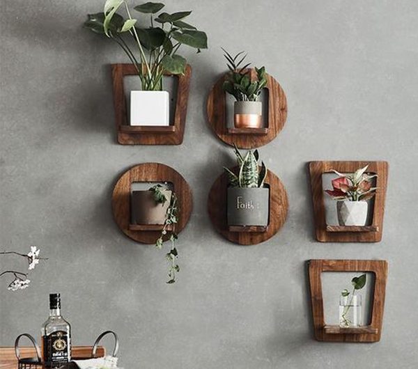 12 Aesthetic Wall Plant Decor Ideas For Your Interior
