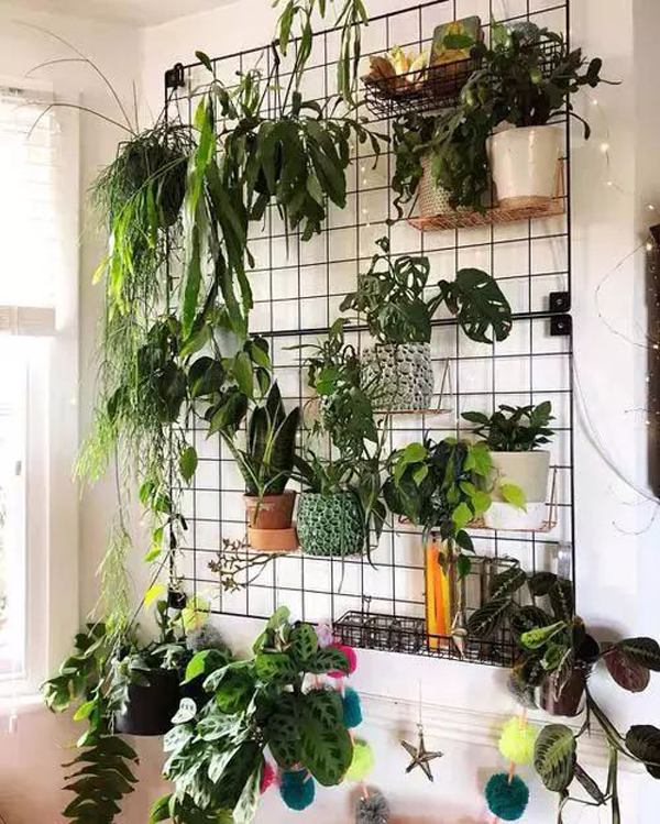 cool-and-functional-wall-plants-with-wires
