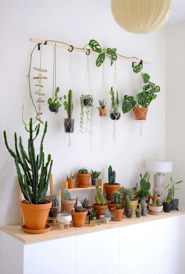 diy-hanging-plant-wall-with-broomstick