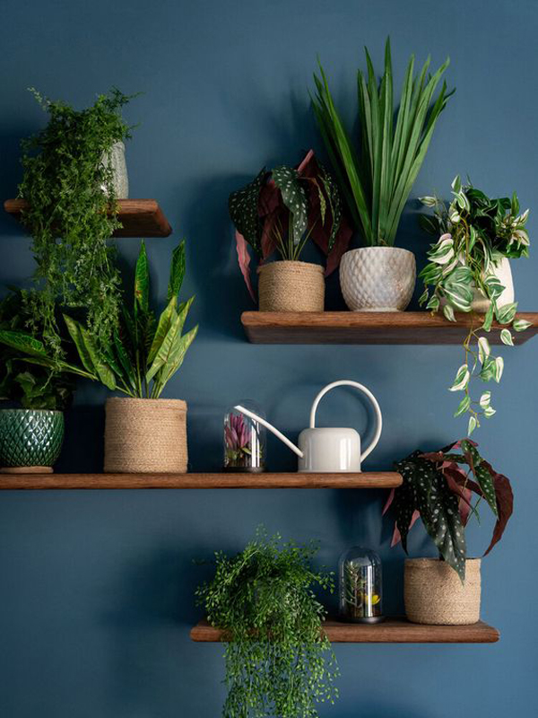 simple-wooden-planter-wall-rack