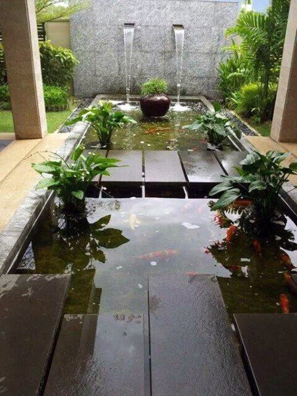 backyard-koi-pond-design-for-narrow-space