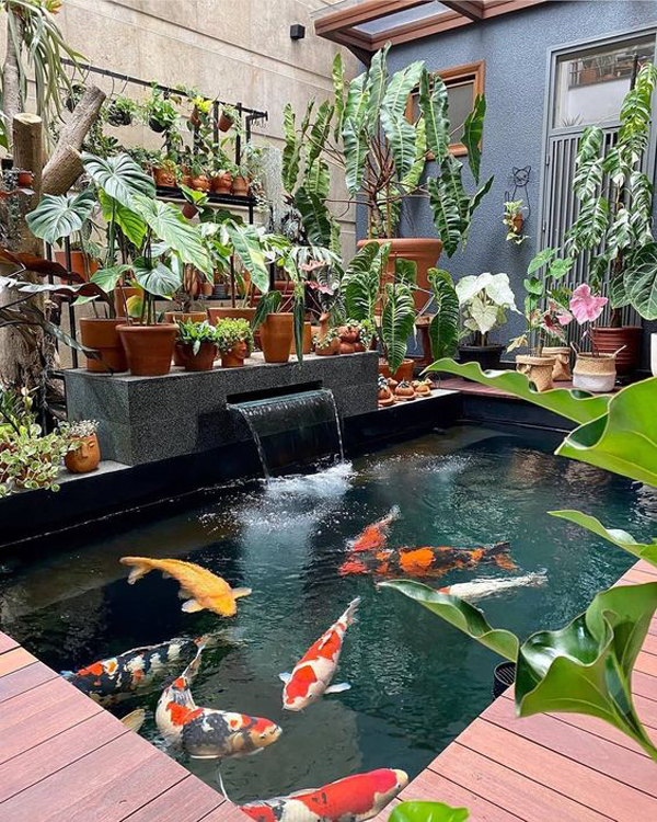 indoor-koi-fish-pond-design