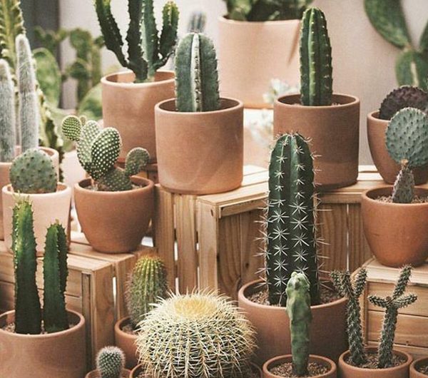 15 Cute And Fun Terracotta Pot Designs