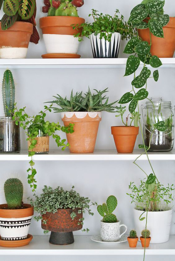 terracotta-pot-plant-wall-ideas