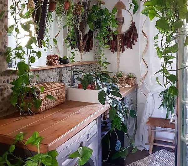 10 Fresh Laundry Room Ideas For Houseplant Lovers