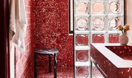 aesthetic-glass-block-in-red-bathroom
