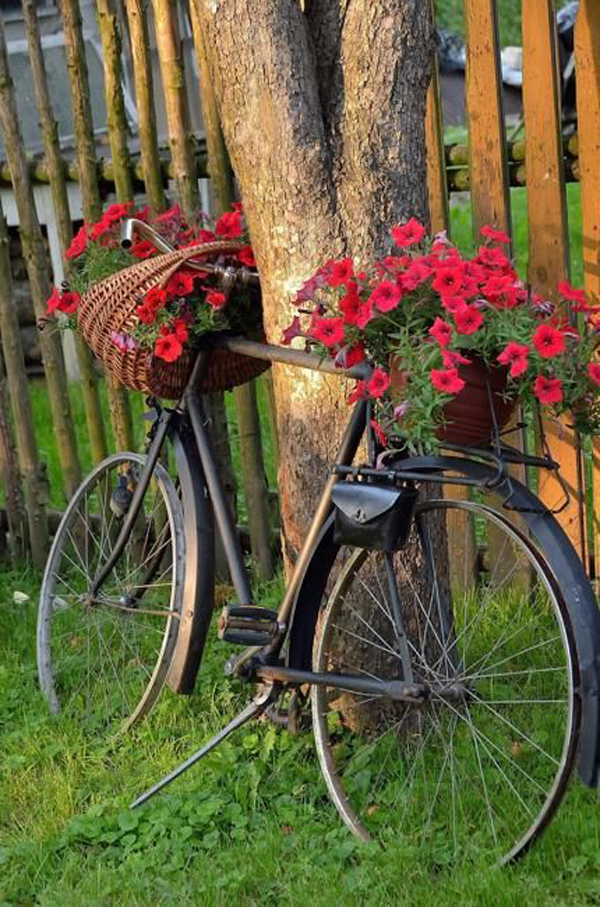 blooming-bicyle-floral-art-decor