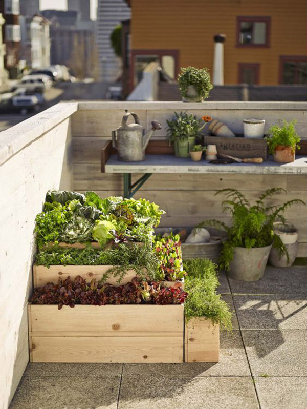 small-rooftop-gardening-ideas