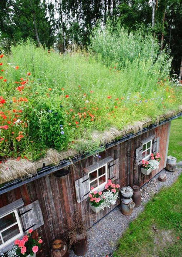amazing-garden-sheds-with-planting-roofs
