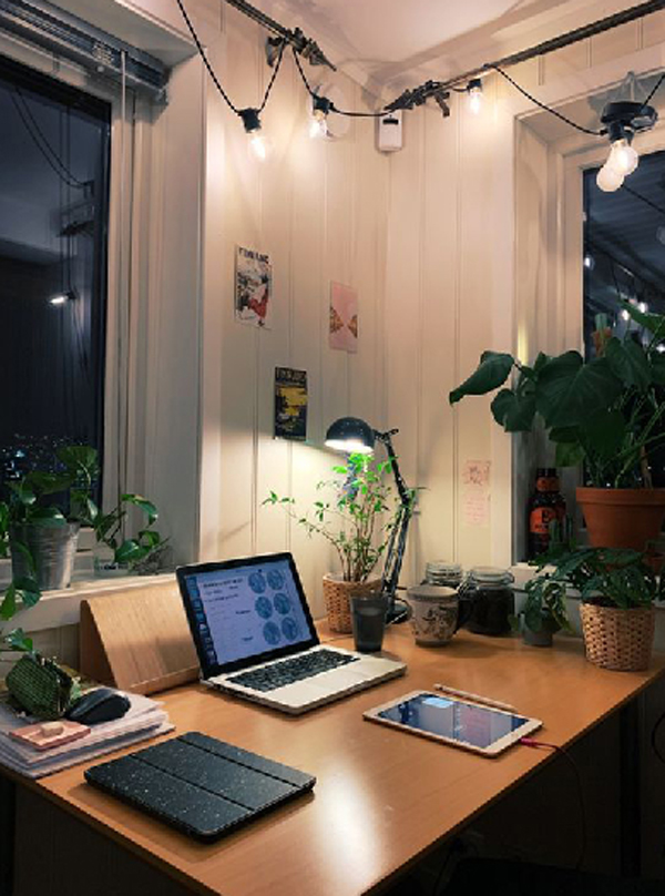cozy-study-desk-with-indoor-plants