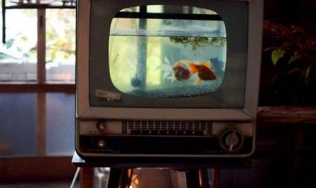 diy-old-tv-aquarium-design