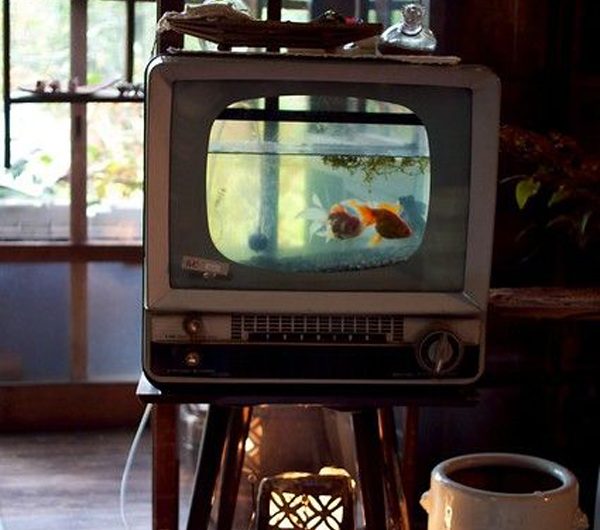 10 Recycled DIY Aquarium Design Made From Old Stuff