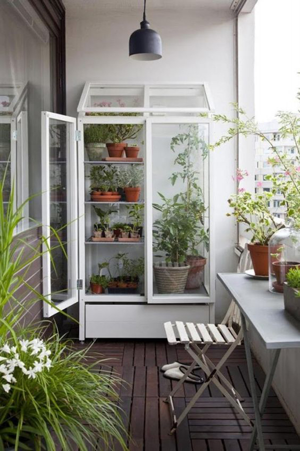indoor-glasshouse-for-smal-space