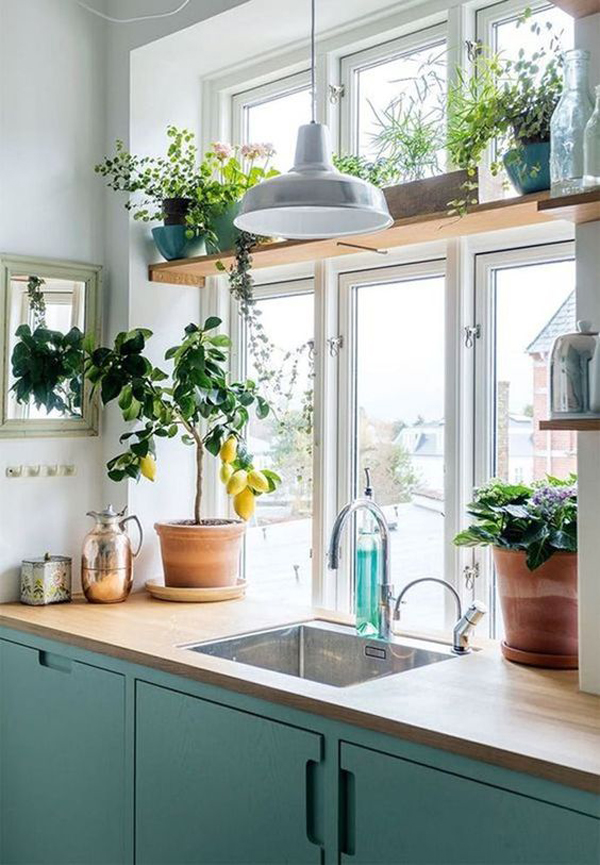 minimalist-indoor-kitchen-garden