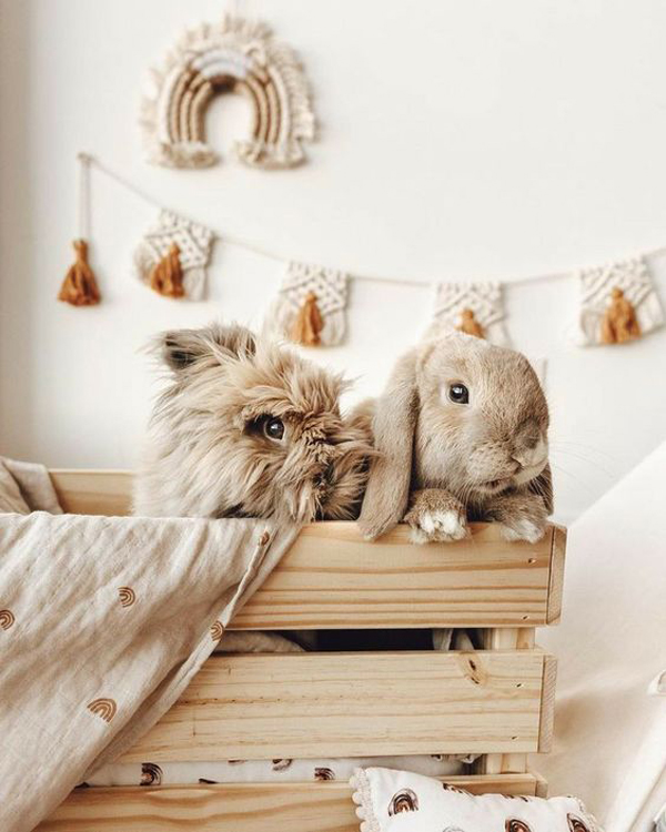 boho-chic-pallet-rabbit-cages-for-indoor