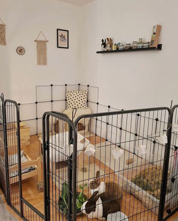 cool-indoor-rabbit-cages-with-iron-trellis