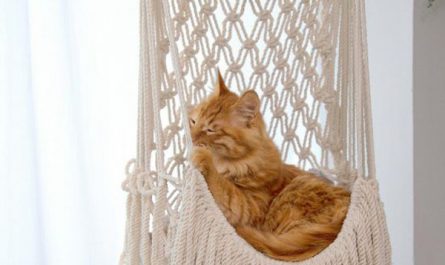diy-macrame-cat-hammock-for-indoor